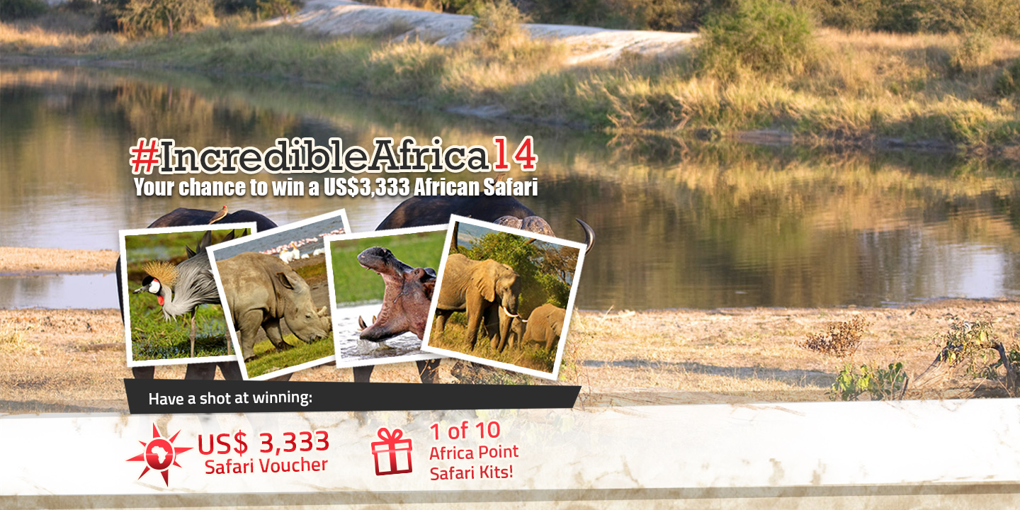 Safari Photo Contest